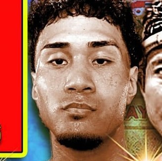 COLLIN TUI