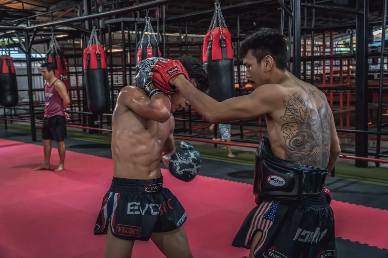 Fight EVO360 Muay Thai Gym Muay Thai gym photo 4