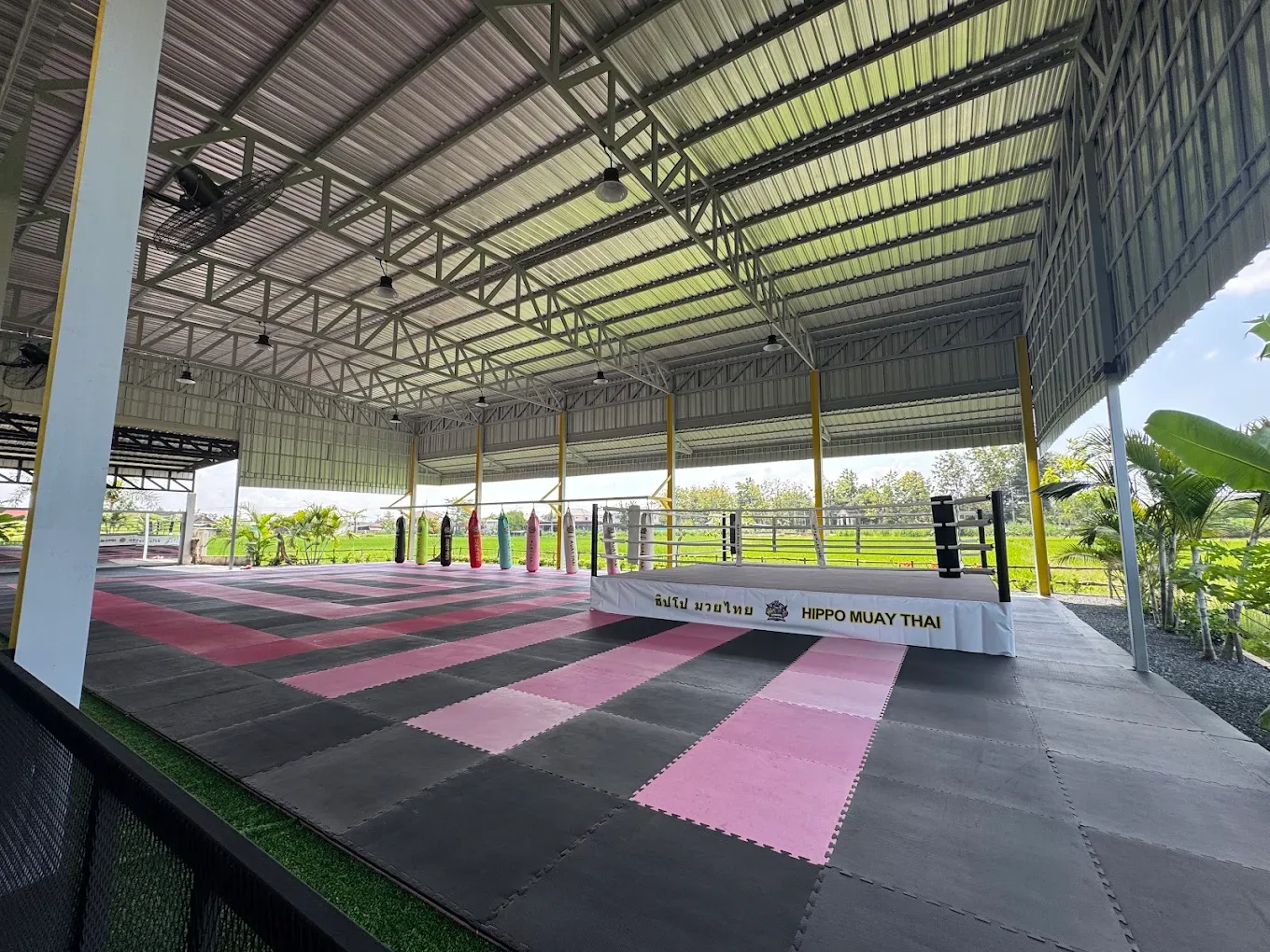 HIPPO MUAYTHAI Muay Thai gym photo 2