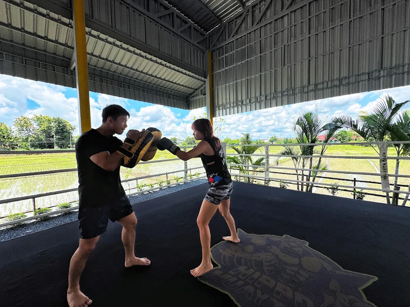 HIPPO MUAYTHAI Muay Thai gym photo 4