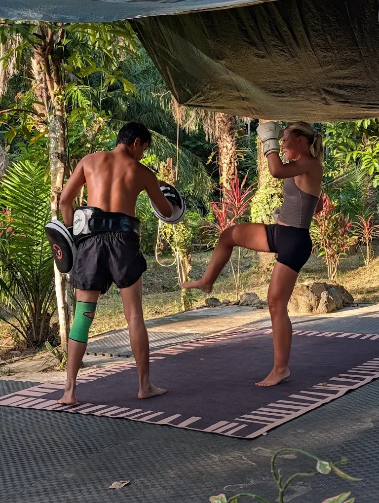 Jungle Muay Thai Muay Thai gym photo 4