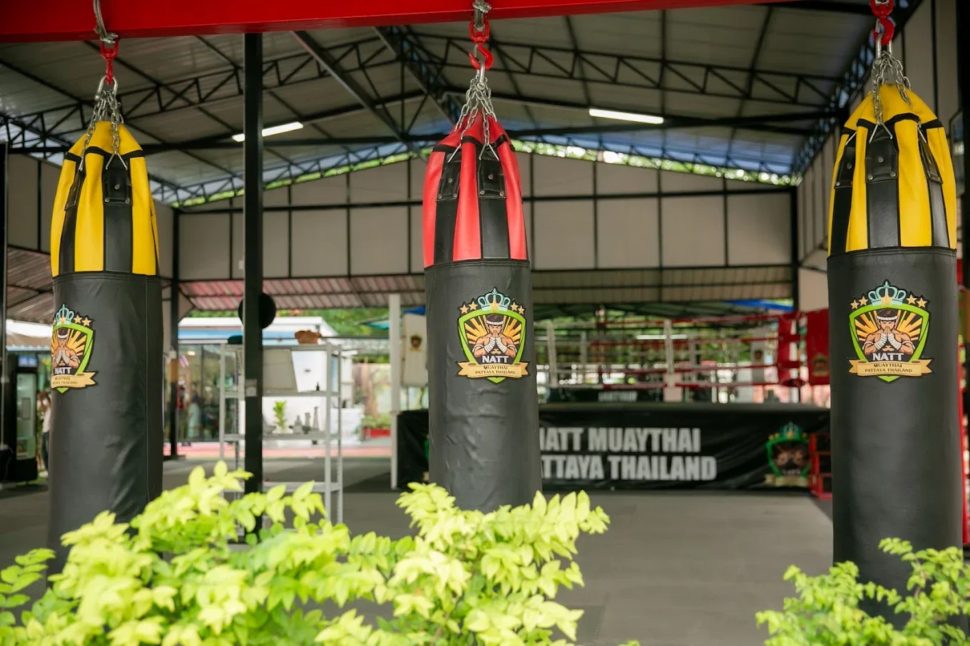 Natt Muay Thai Pattaya Muay Thai gym photo 2