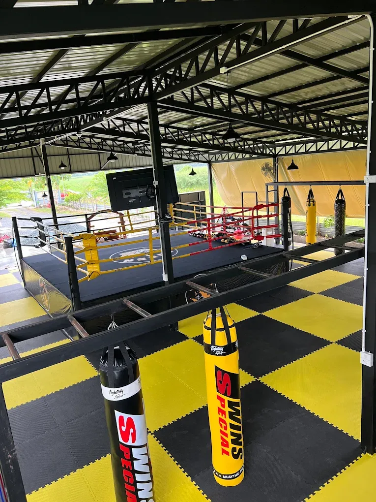 QUEEN MUAY THAI Muay Thai gym photo 3