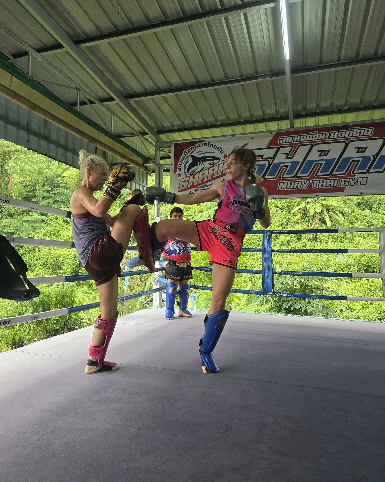 Shark Muay Thai Muay Thai gym photo 2