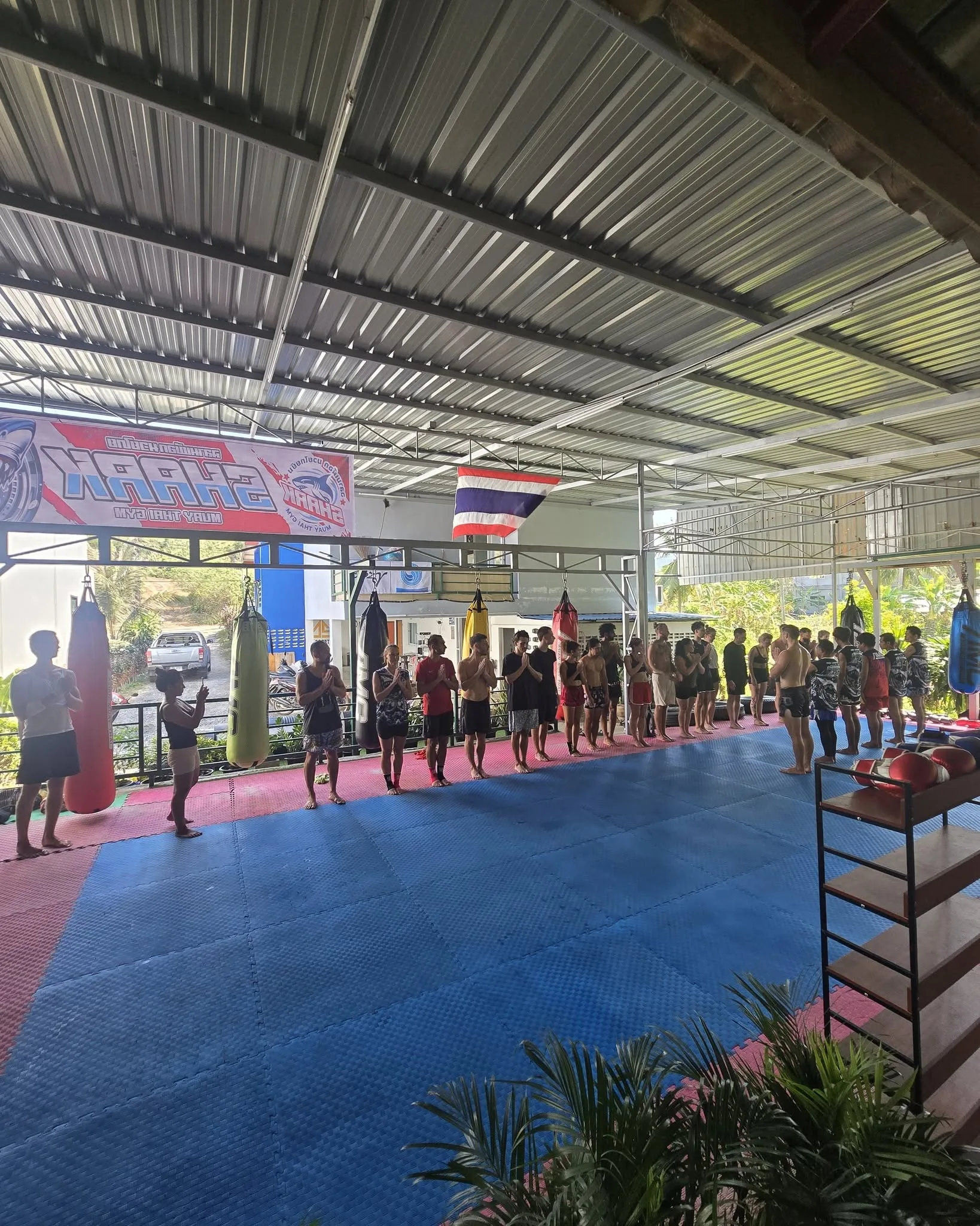 Shark Muay Thai Muay Thai gym photo 4