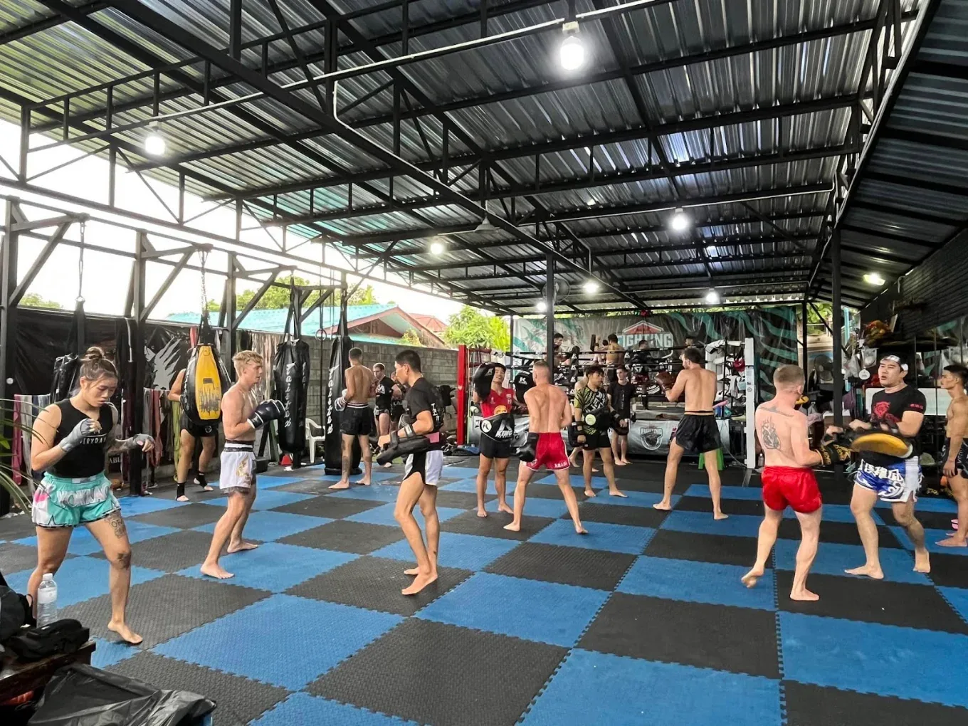 THE BEAR FIGHT CLUB Muay Thai gym photo 3