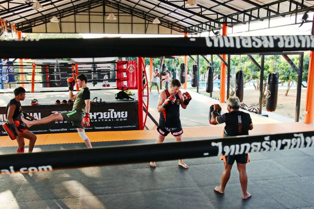 Tiger Muay Thai Chiang Mai Muay Thai gym photo 2