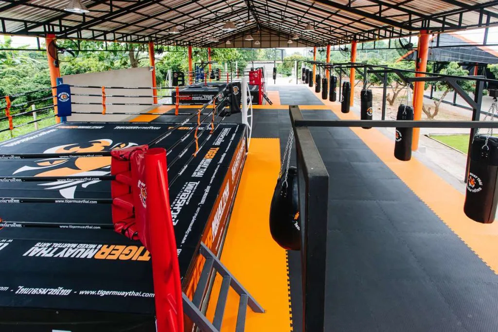Tiger Muay Thai Chiang Mai Muay Thai gym photo 4