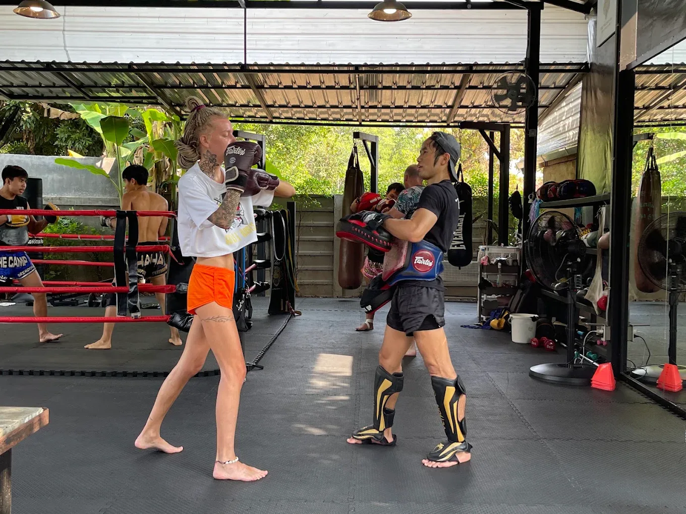 WILDCAT MUAYTHAI Muay Thai gym photo 2