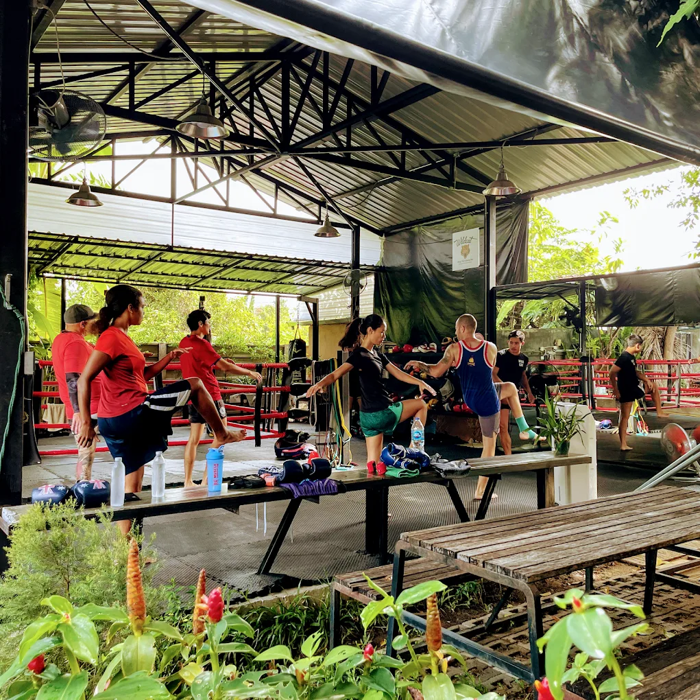 WILDCAT MUAYTHAI Muay Thai gym photo 3
