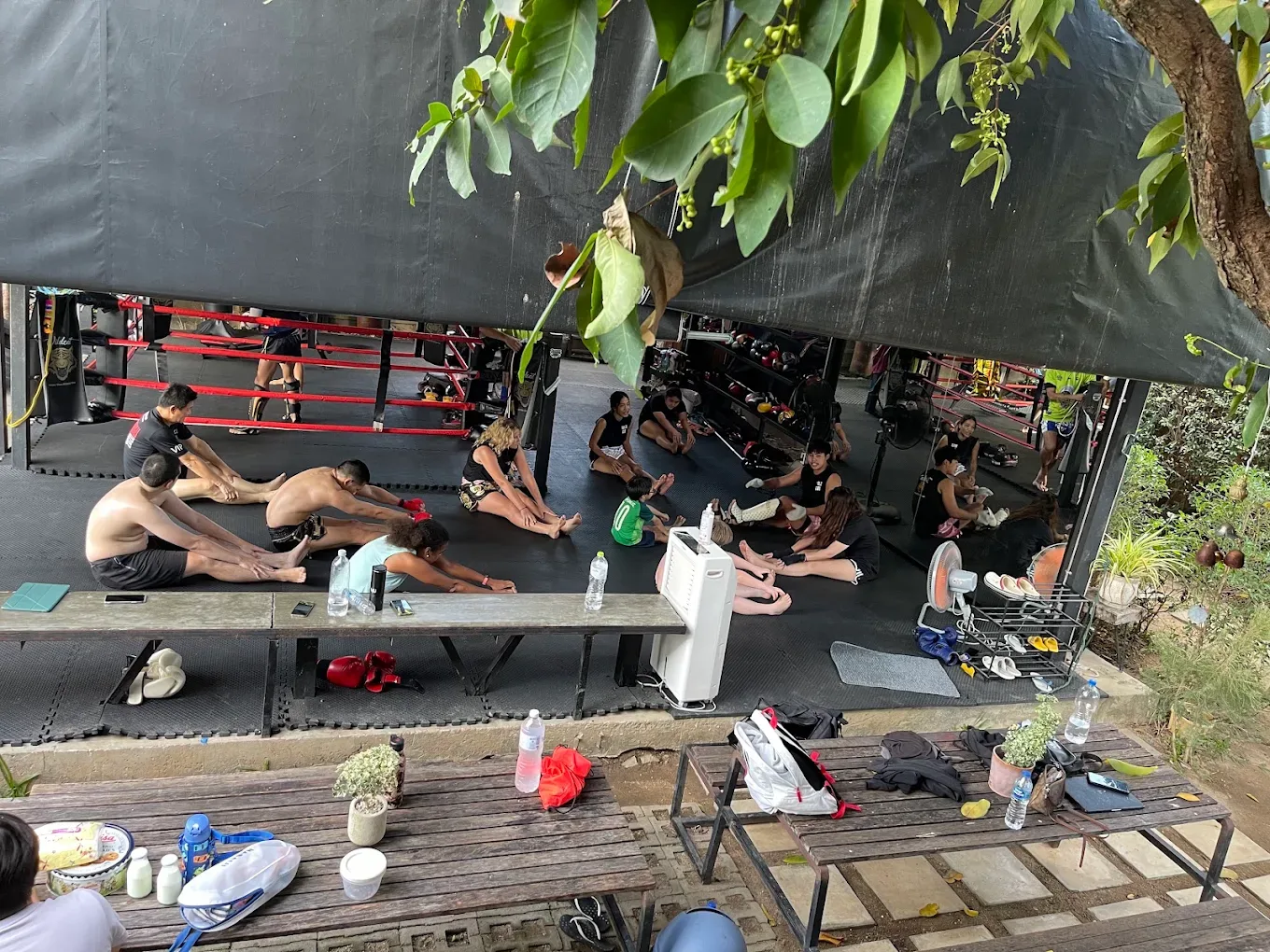 WILDCAT MUAYTHAI Muay Thai gym photo 4