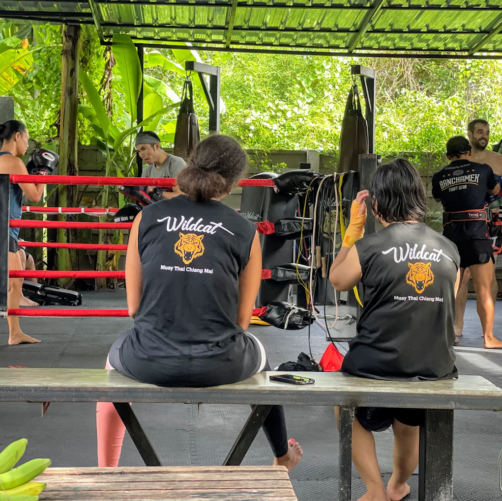 WILDCAT MUAYTHAI Muay Thai gym photo 5