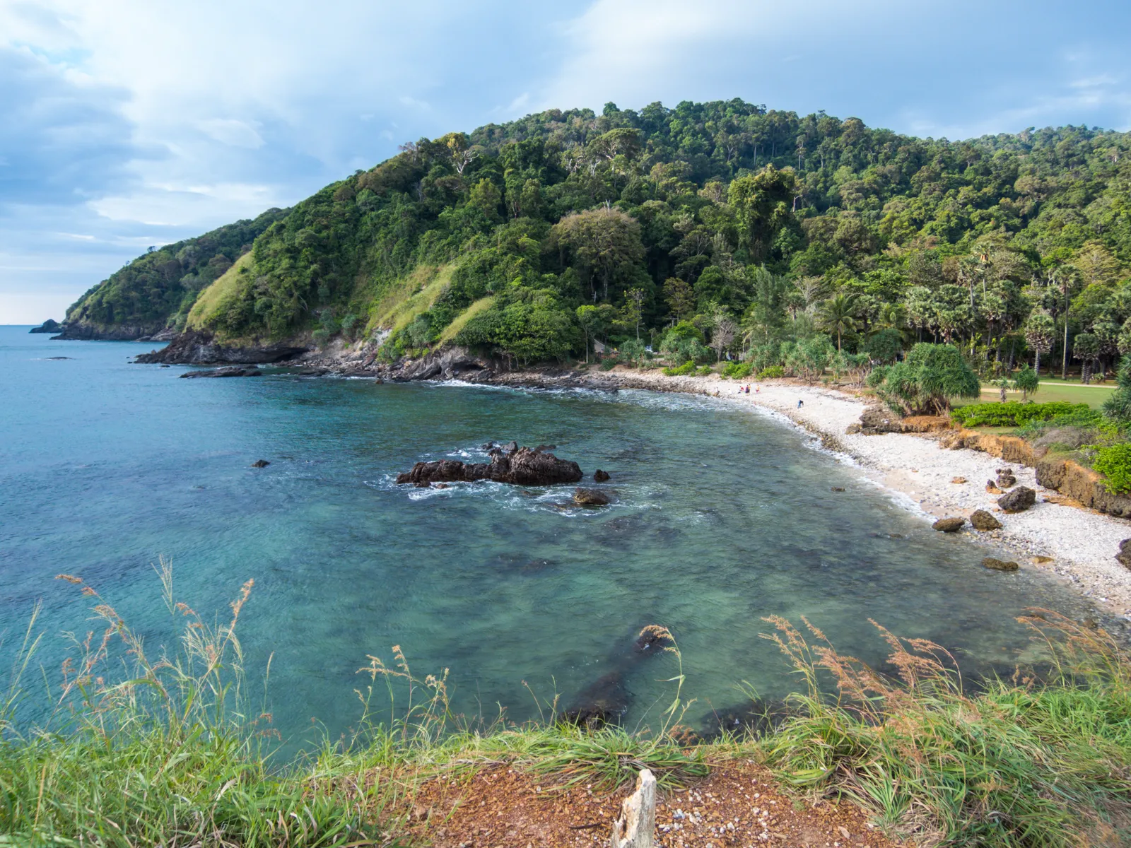 Bamboo Bay