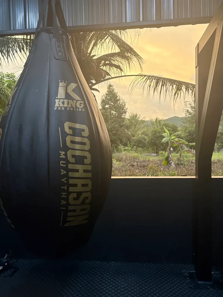 Cochasan Muay Thai & Boxing Muay Thai gym photo 2
