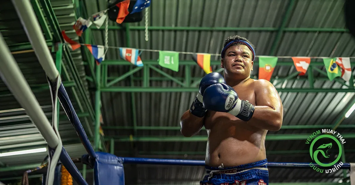 VENUM Koh Phangan Muay Thai Stadium Muay Thai gym photo 3