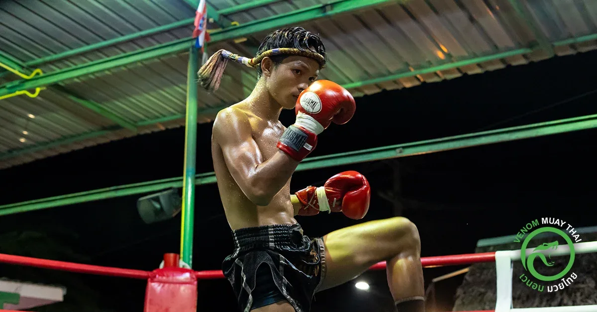 VENUM Koh Phangan Muay Thai Stadium Muay Thai gym photo 4