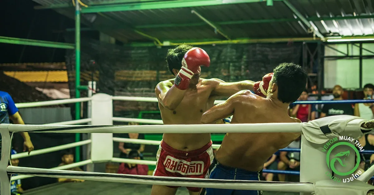 VENUM Koh Phangan Muay Thai Stadium Muay Thai gym photo 6